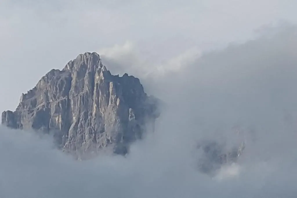 Apartment Mimosa San Vito 산비토디카도레